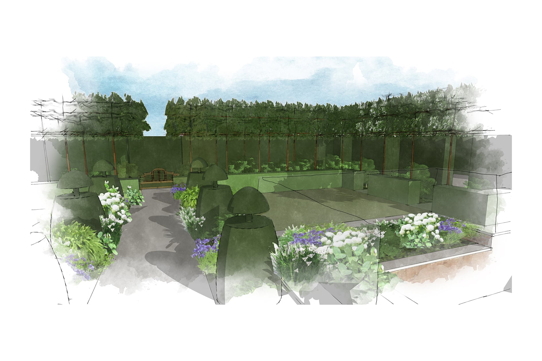 A London garden inspired by the Arts & Crafts movement. Visual drawn by Fiona Silk Landscapes & Learning.