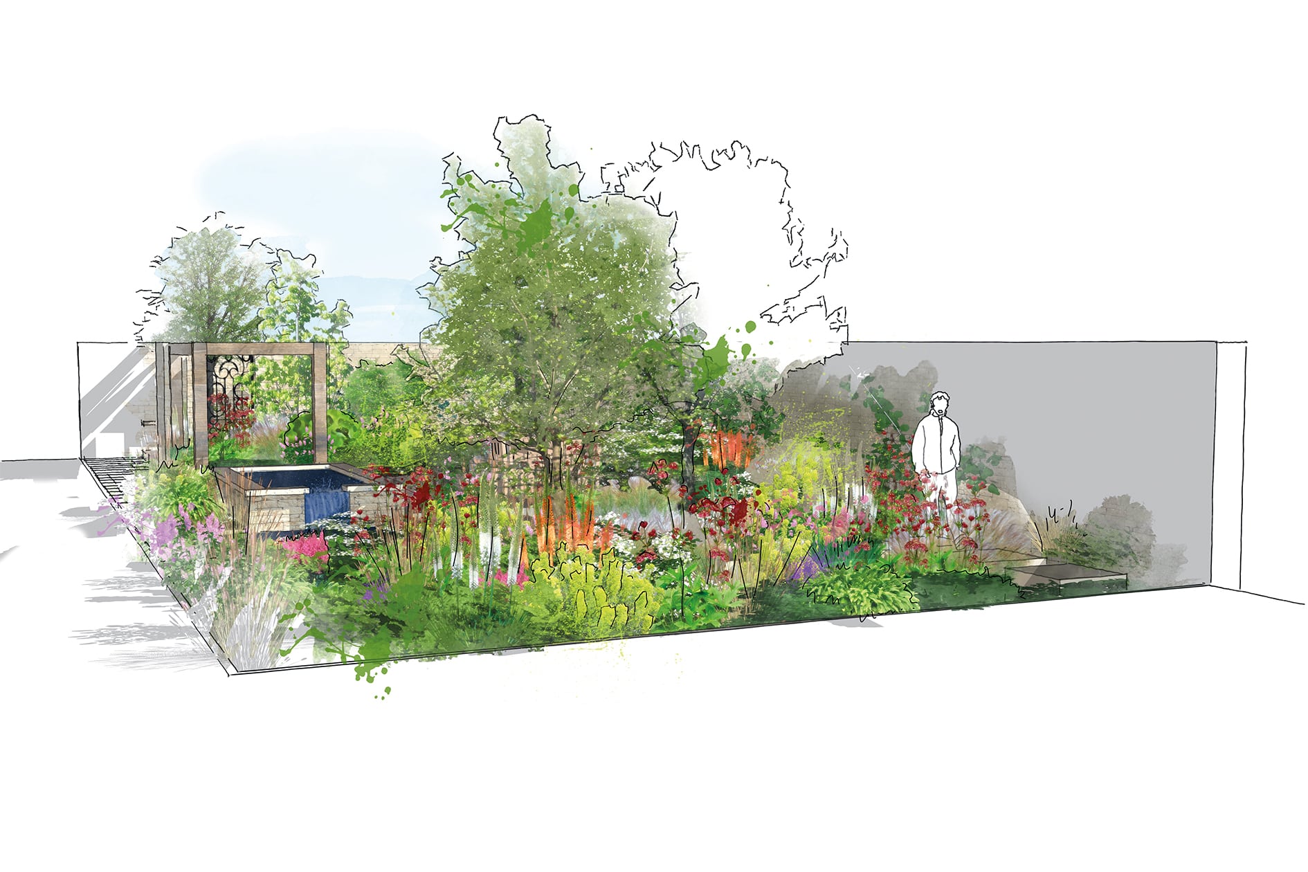 An enclosed garden with overflowing borders for a plant lover. Visual drawn by Fiona Silk Landscapes & Learning.
